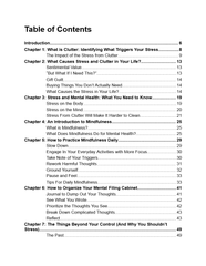 Ebook - Chaos To Calm - Digiloop Store