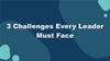 Bundle - Level Up Your Leadership